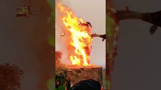 share sad song jaipur 