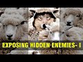 దాచబడిన శత్రువులను బహిర్గతం చేయడం | Exposing Hidden Enemies | Pastor Michael Fernandes