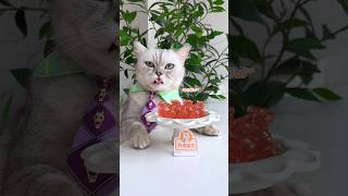 How To Make Adorable Gummy Bears Using Pomegranates?🧸#Catsofyoutube  #Tiktok #Shorts