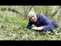 Wood anemone plant scavenger hunt (with Mike Dilger) - Woodland Trust
