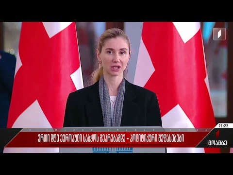 ერთი დღე ევროპული საბჭოს შეკრებამდე - პოლიტიკური შეფასებები