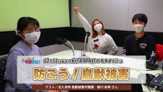 防ごう！鳥獣被害（令和4年12月11日放送）