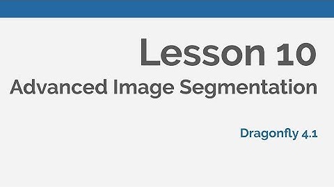 Dragonfly Daily 10 Advanced Image Segmentation in Dragonfly (2020)