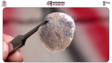 M-23. Instrumental methods of GSR analysis-NAA & XRF