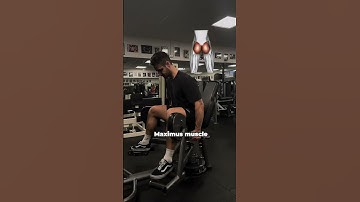 Lean forward or back on the hip abduction machine? #glutesworkout #trainingtips #hipabduction