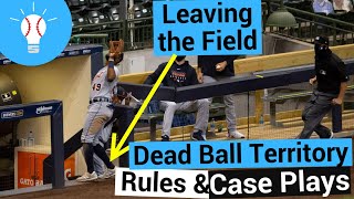 The Ultimate Guide to Dead Ball Territory: High School Umpire Edition