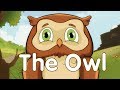 The Owl - Toyor Baby English