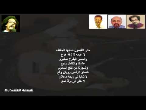 طوريتك