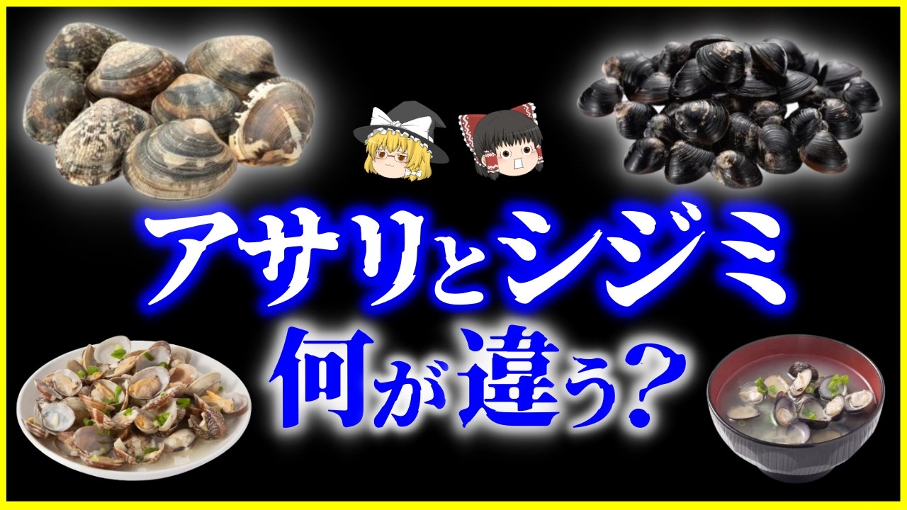 【ゆっくり解説】まったく別の生き物だった…アサリとシジミ、何が違う？を解説/アサリとシジミの進化史と決定的な違い