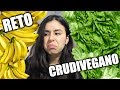 UN DÍA SIENDO CRUDIVEGANA (si, de nuevo. al parecer me odio)