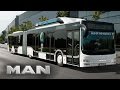 Man lions city gl cng bus des jahres 2015  man truck  bus