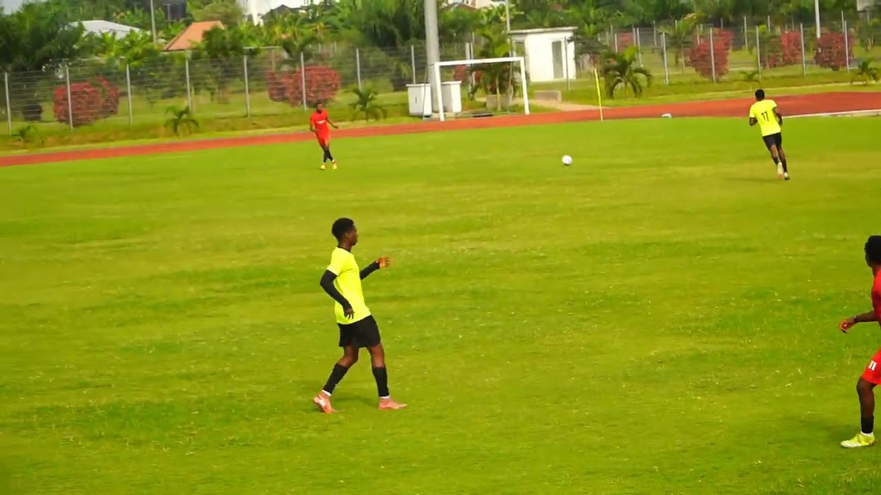 Transformer FA vs William-pro FA