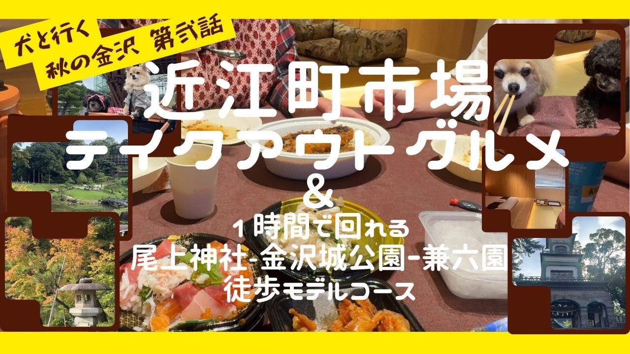 【犬と秋の金沢旅行】第弐話 近江町市場でお持ち帰りグルメ！ホテルから兼六園まで歩いてみましたやで！【トリフィート ホテル&ポッド 金沢百万石通】【ひがし茶屋街】【近江町市場】【すし喰いねえ】