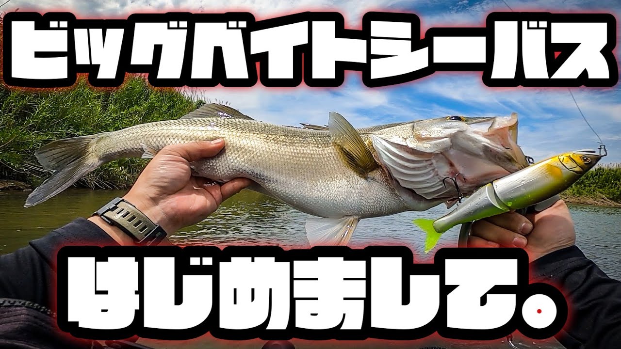 SHIMANO - ジョイクロ178 148 ルアーセット シーバス バス釣り SHIMANO - ジョイクロ178 148 ルアーセット シーバス バス釣りの