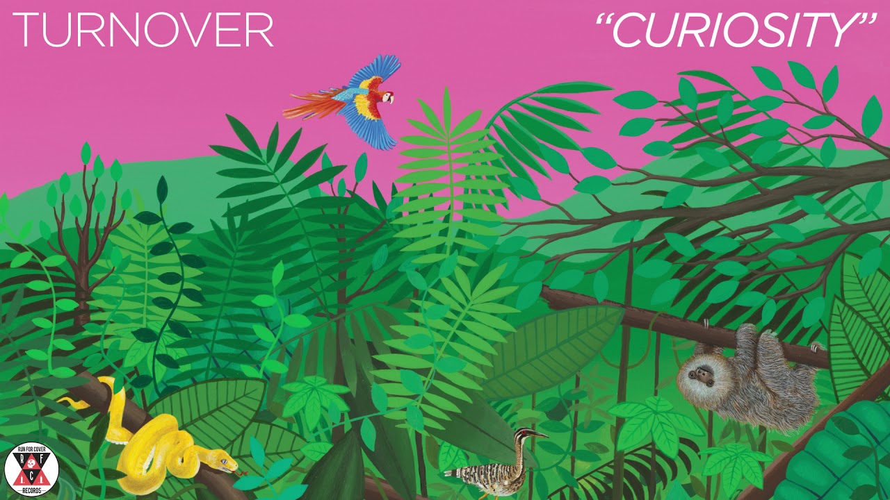 Watch Turnover - "Curiosity" (Official Audio) on YouTube Watch Turnover - "Curiosity" (Official Audio) on YouTube