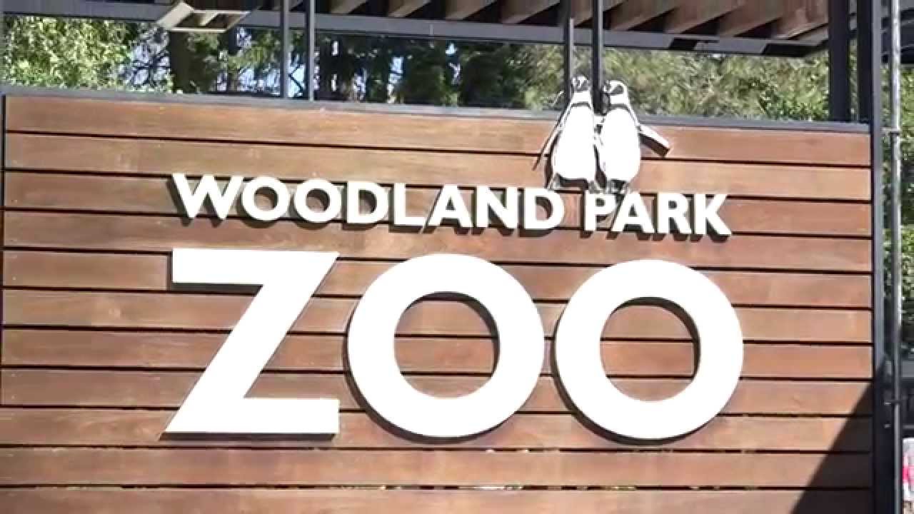 How to: Feed 1,000 Zoo Animals 365 Days a Year - YouTube