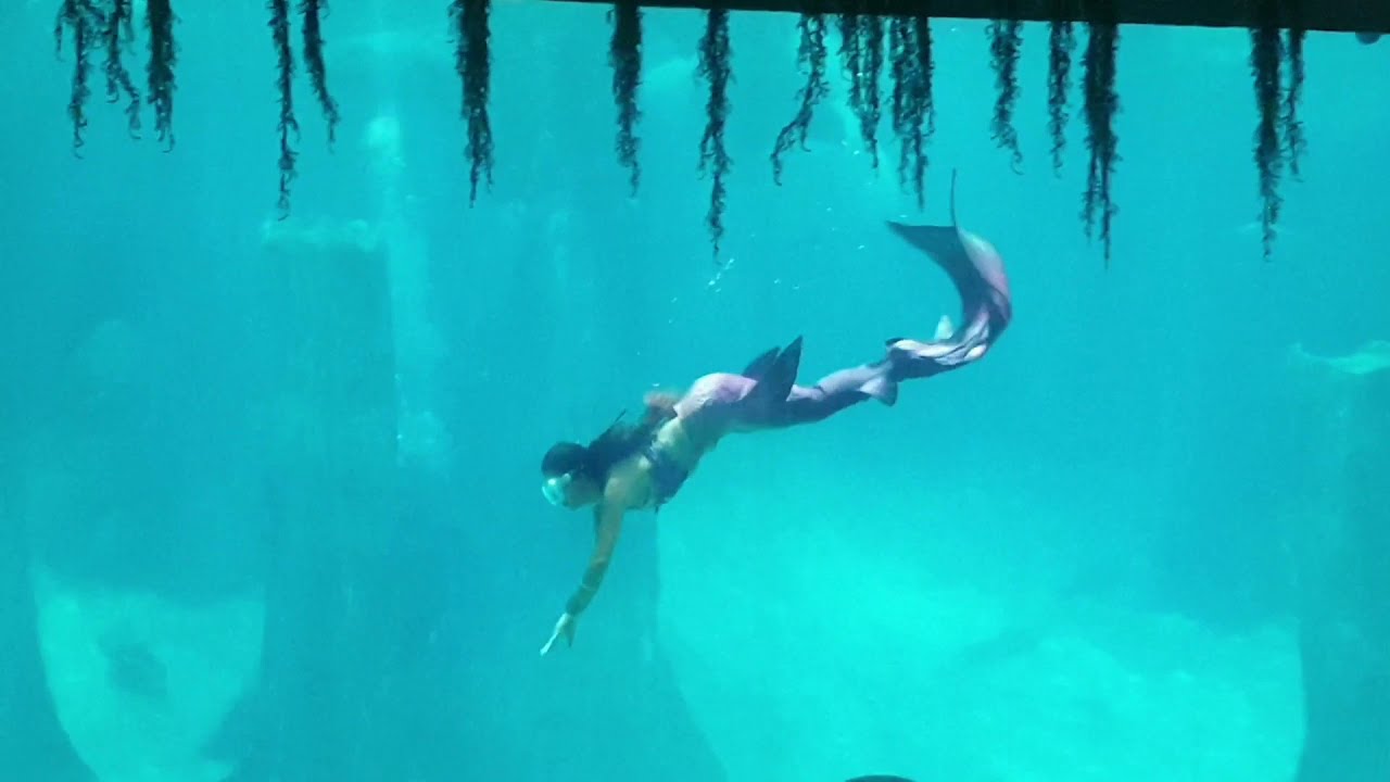 Mewarnai Gambar Naga Bersayap - Gambar Mewarnai Menarik