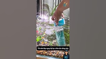 Bộ lọc chìm đa năng hút cặn bẩn làm sạch nước và tăng oxy cho bể cá #aquarium #youtubeshorts