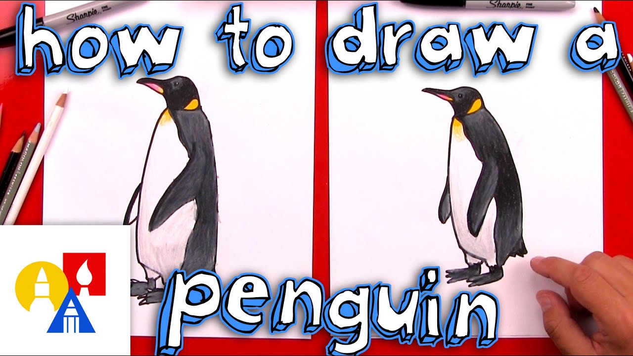 How To Draw A Realistic Emperor Penguin - YouTube