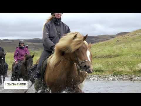 Video: De højeste bjerge i Island