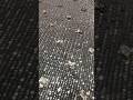 New design launched | #cheapestfabric #surattextilemarket #wedding