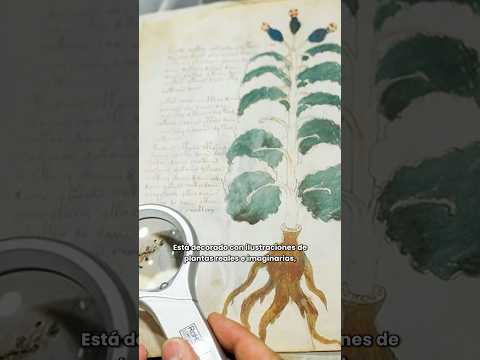 🎬 Video relacionado con libros medievales