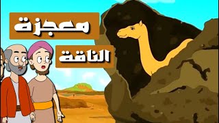 قصة نبي الله صالح (ناقة تخرج من الصخرة)