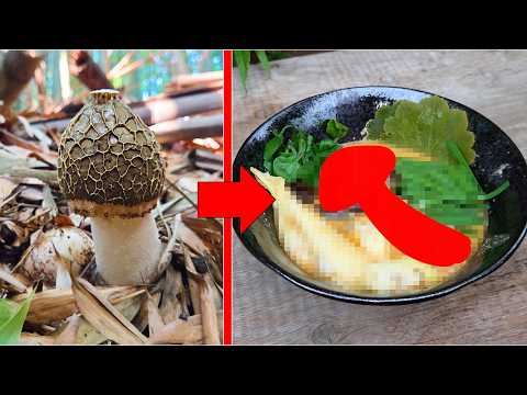 Making Malatang With Rare Mushrooms Was Absolutely Delicious!