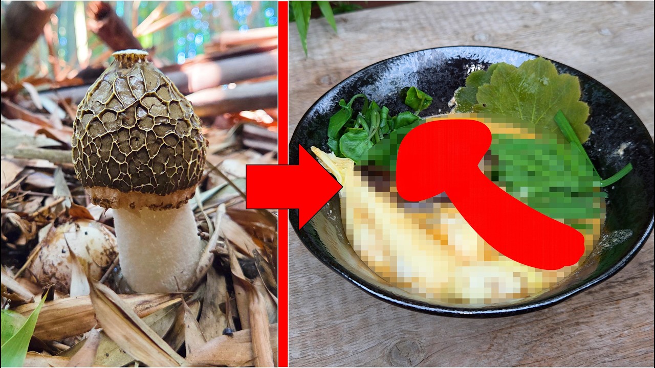 【極上麻辣湯】幻のキノコとそこら辺の草でマーラータンを作ってみた
