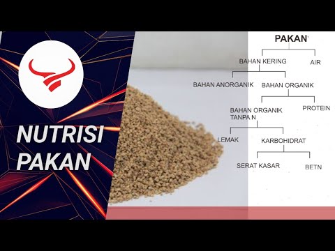 Video: Toko online jam tangan terbaik: ulasan pelanggan