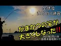 【全遊導沈め釣り】がまかつの竿が大きくしなった‼️果たしてなにが釣れたのか⁉️【島根半島北向き堤防】2021年2月21日