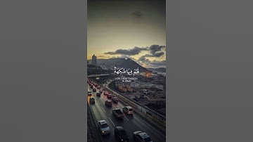 تلاوة من سورة يس 🌸قرآن كريم 🌸القارئ عبد الله الموسى 🌸