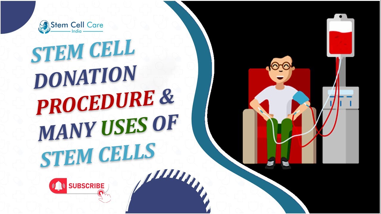 Пошаговое объяснение процедуры донорства стволовых клеток | Простое руководство для доноров | Про...