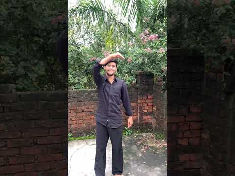 Kuch Yaad Aaya Alijee Arbaeen Arbaeen2025 Karbalastatus Iraq Gaza Arbaeenwalk