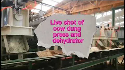 Cow Manure Solid Liquid Separator