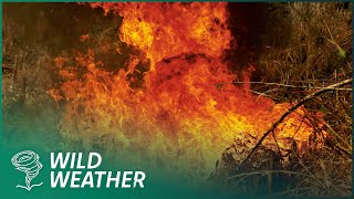 World's Worst Fires And Volcanoes | Code Red Marathon | Earth Stories