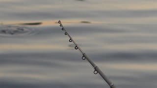 ПОКЛЁВКИ КРУПНЫМ ПЛАНОМ! Рыбалка на фидер на утренней зорьке в июне. Рыбалка 2020
