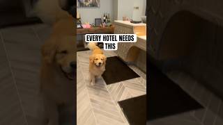 When The Hotel Greeter Is A Den Retriever