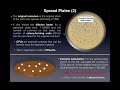 Spread Plates | Colony Counts (CFUs/mL) and Difference from Streak Plates