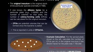Spread Plates | Colony Counts (CFUs\/mL) and Difference from Streak Plates