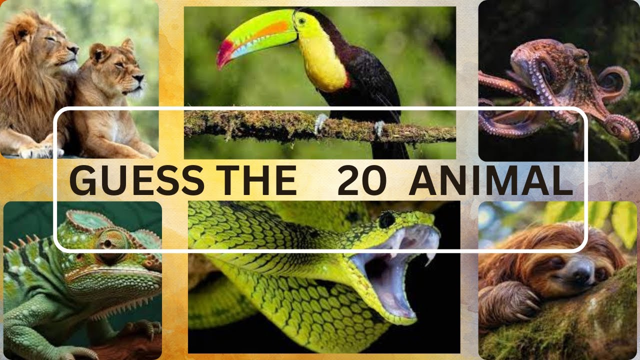"Ultimate Animal Quiz Test Your Wildlife Knowledge with 20 Questions