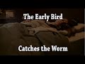 The early bird catches the worm  short film