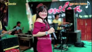 KERANDA CINTA AYU LESTARI - CAMELIA MUSIC - KHITANAN M. JUNIO RENALD ALBARZIO - NALUMSARI JEPARA