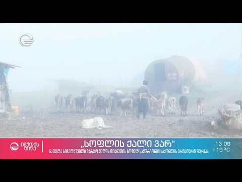 სოფლად მცხოვრები ქალების შრომა ხშირად მეორეხარისხოვნად მიიჩნევა