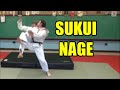 Sukui nage   scooping throw