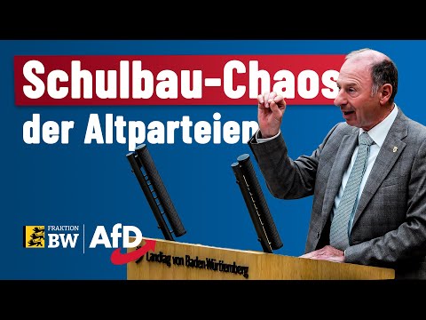Schools on the verge of collapse – AfD criticizes the government's failure!