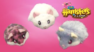 hamsters in a house names