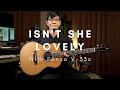 Stevie Wonder - Isn&#39;t She Lovely (acoustic) Fonzo V-33c