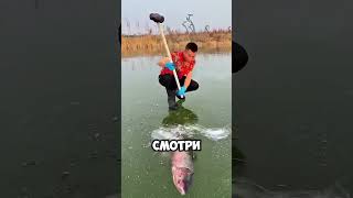 Папа спас рыбок из замерзшей реки 🤯🧊 #short