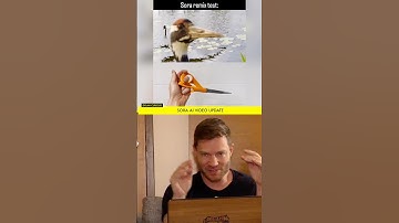 New @OpenAI #Sora video generation capabilities